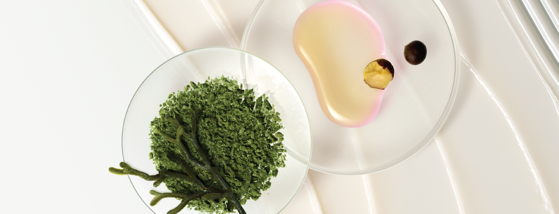 Collagen