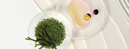 Collagen